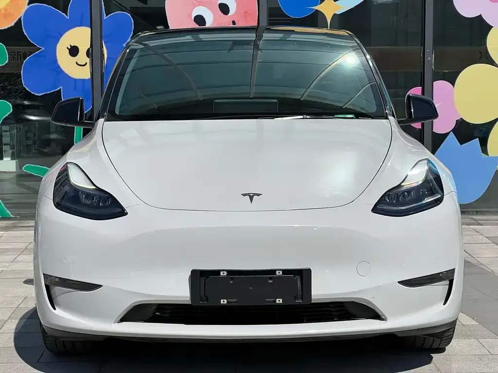 Tesla Model Y 2021 из CN, фото 3