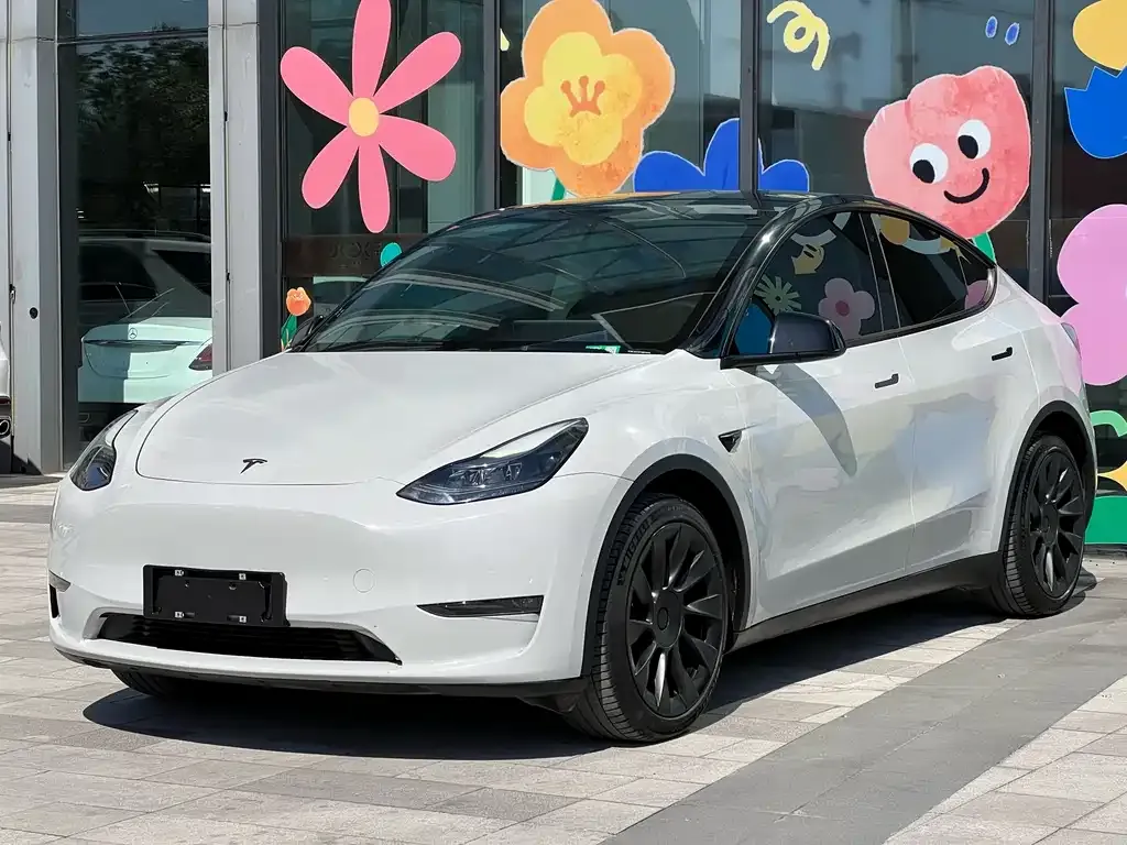 Tesla Model Y 2021 из CN, фото 4