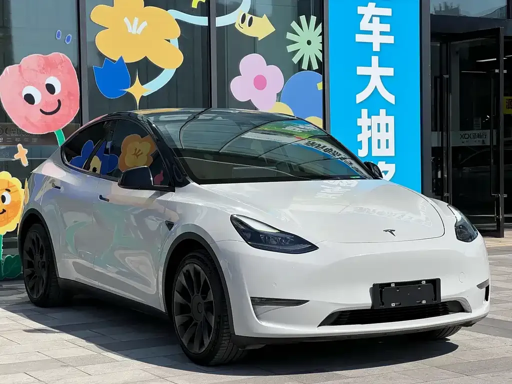 Tesla Model Y 2021 из CN, фото 5