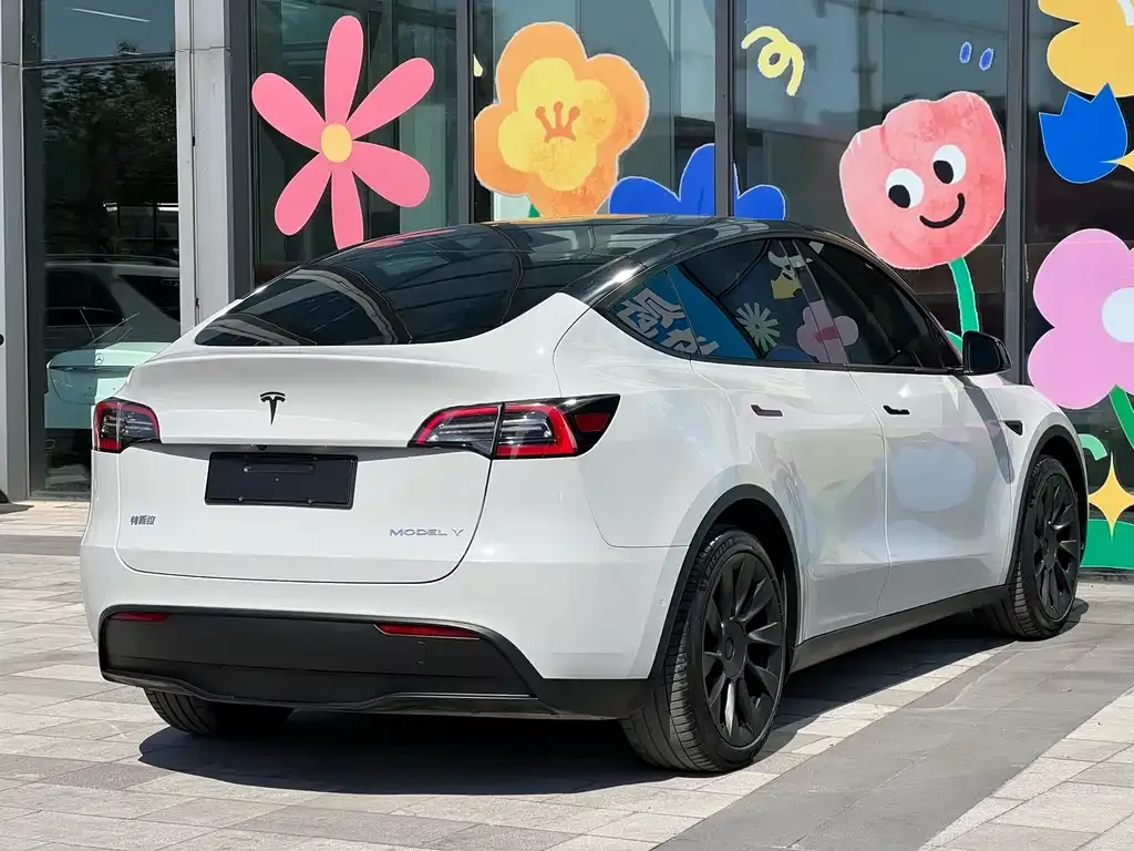 Tesla Model Y 2021 из CN, фото 6