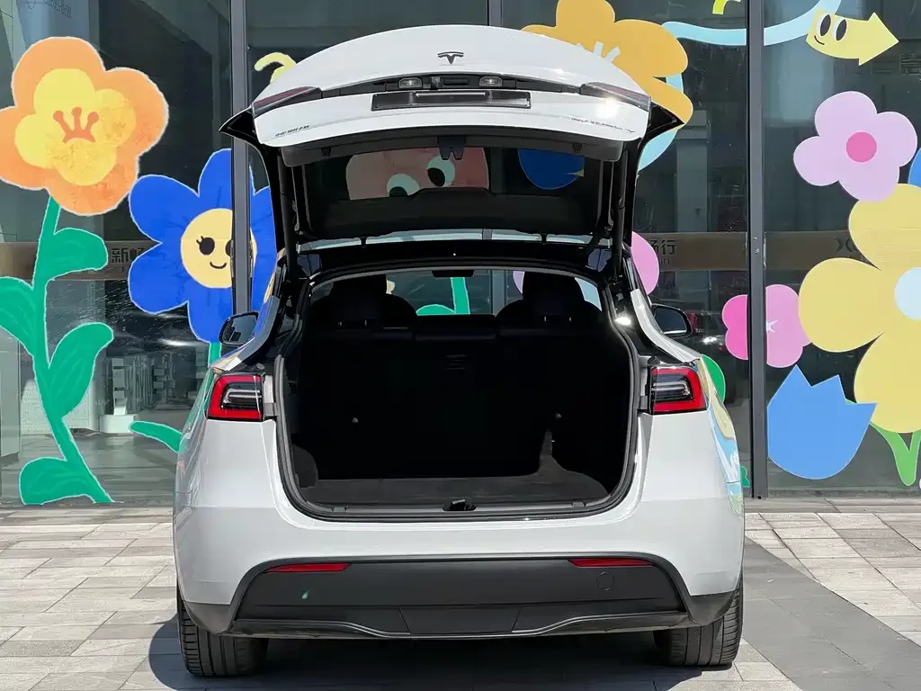 Tesla Model Y 2021 из CN, фото 7