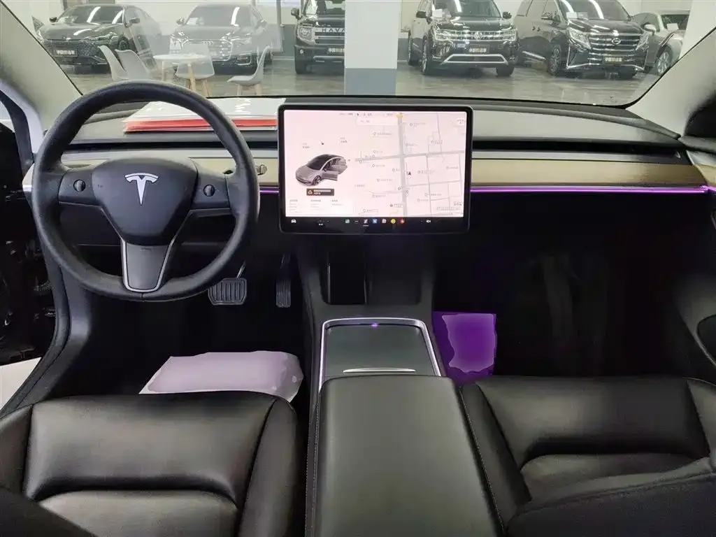Tesla Model 3 2021 из CN, фото 10