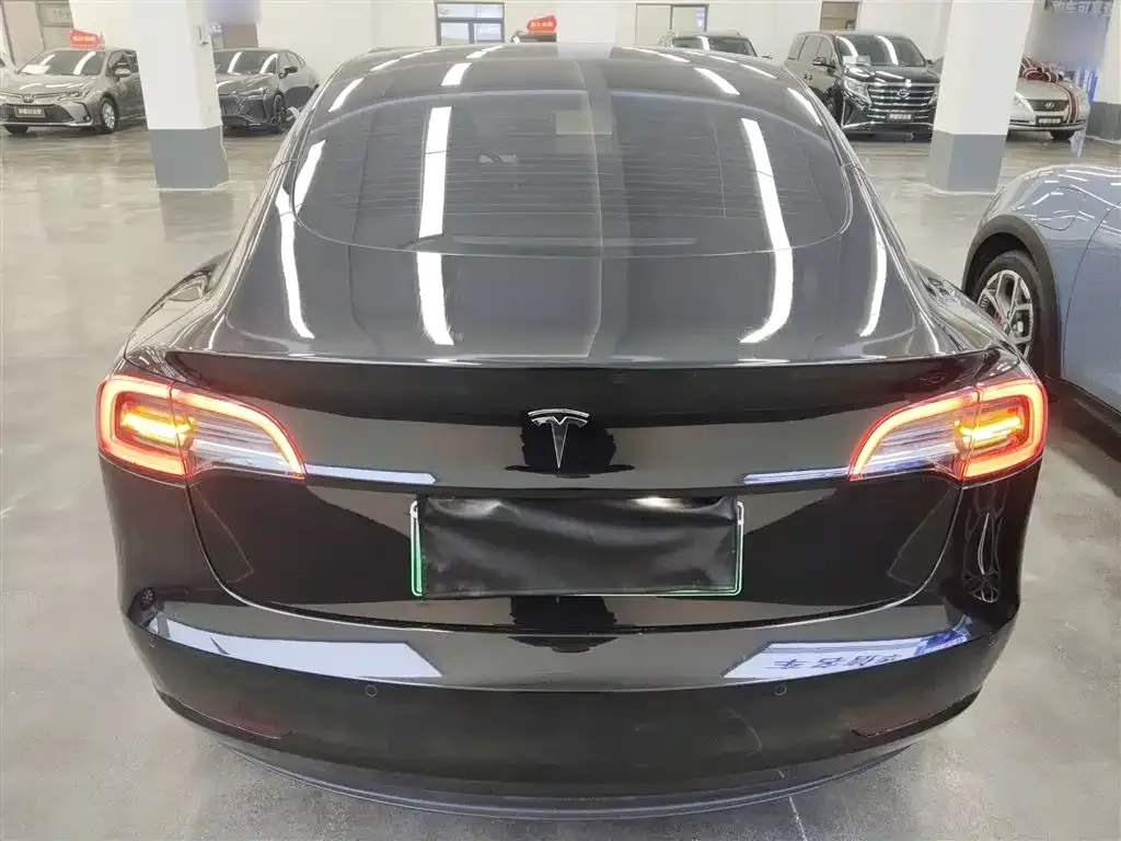 Tesla Model 3 2021 из CN, фото 6