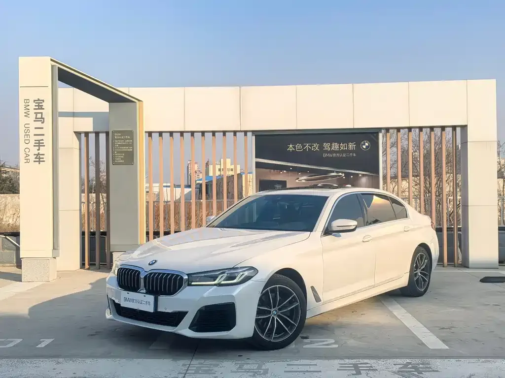 BMW 5 Series 2021 из CN, фото 1