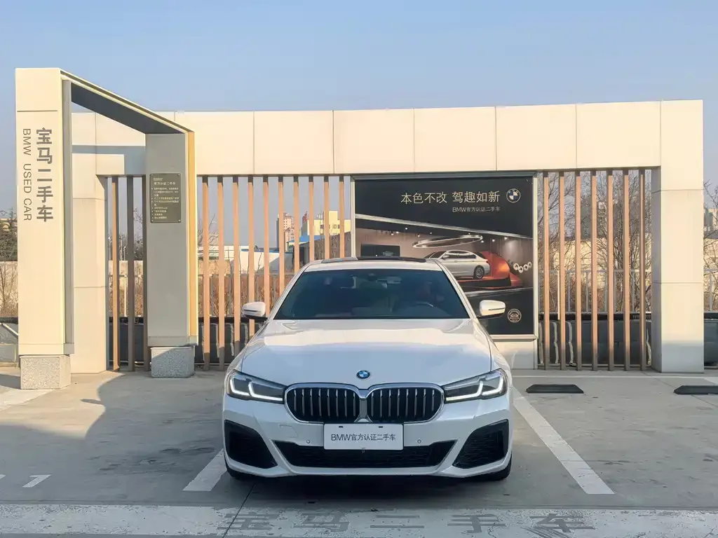 BMW 5 Series 2021 из CN, фото 3