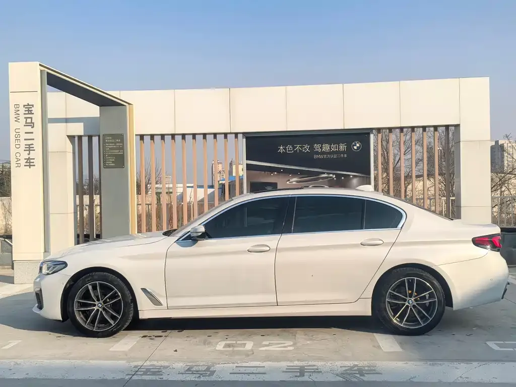 BMW 5 Series 2021 из CN, фото 5