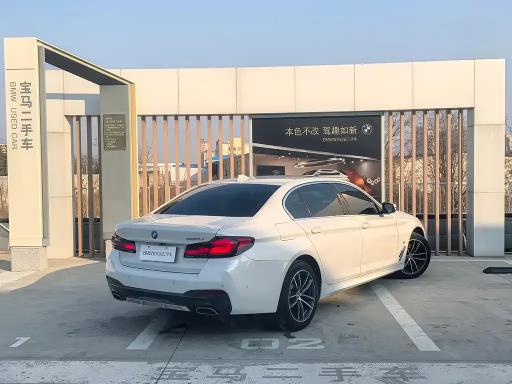 BMW 5 Series 2021 из CN, фото 7