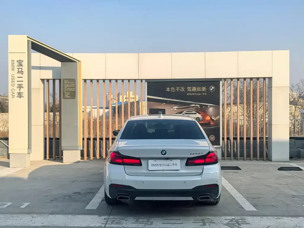BMW 5 Series 2021 из CN, фото 6