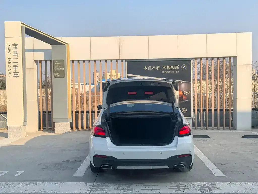 BMW 5 Series 2021 из CN, фото 2