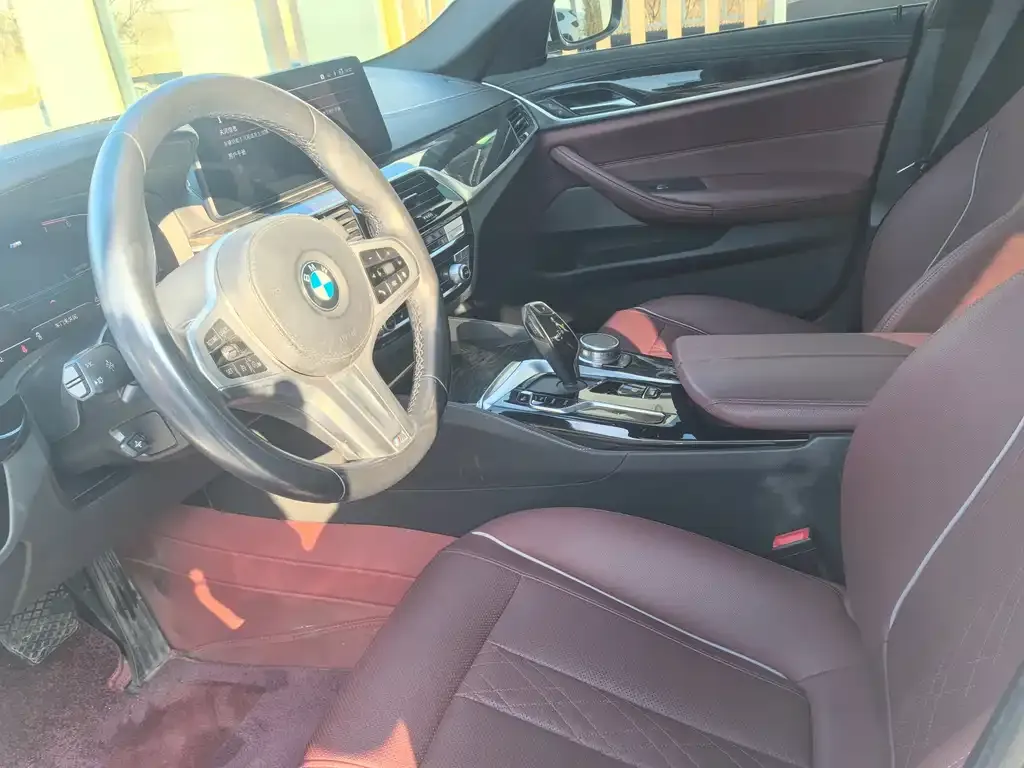 BMW 5 Series 2021 из CN, фото 4