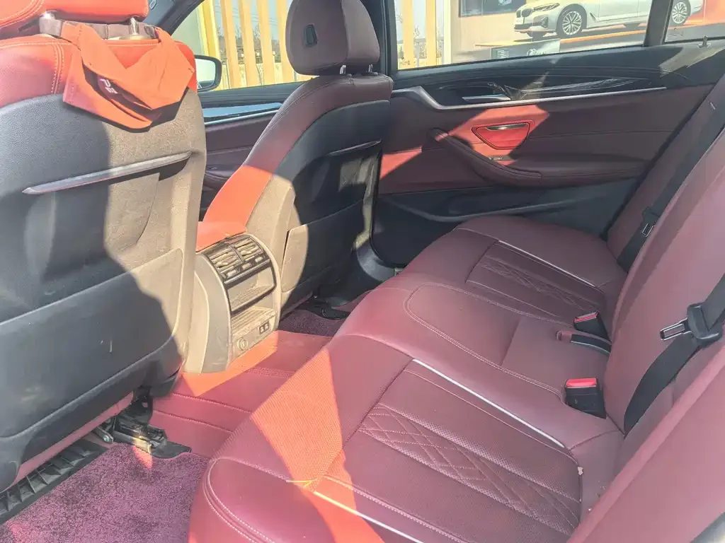 BMW 5 Series 2021 из CN, фото 8
