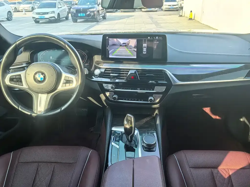 BMW 5 Series 2021 из CN, фото 9