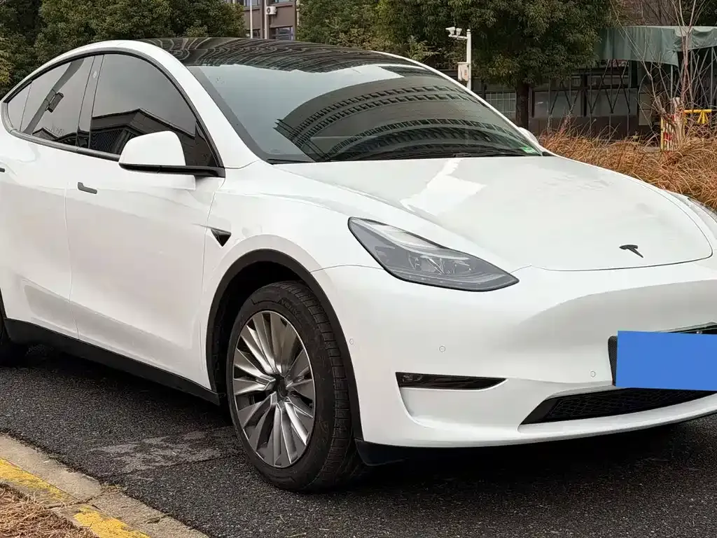Tesla Model Y — фото 1