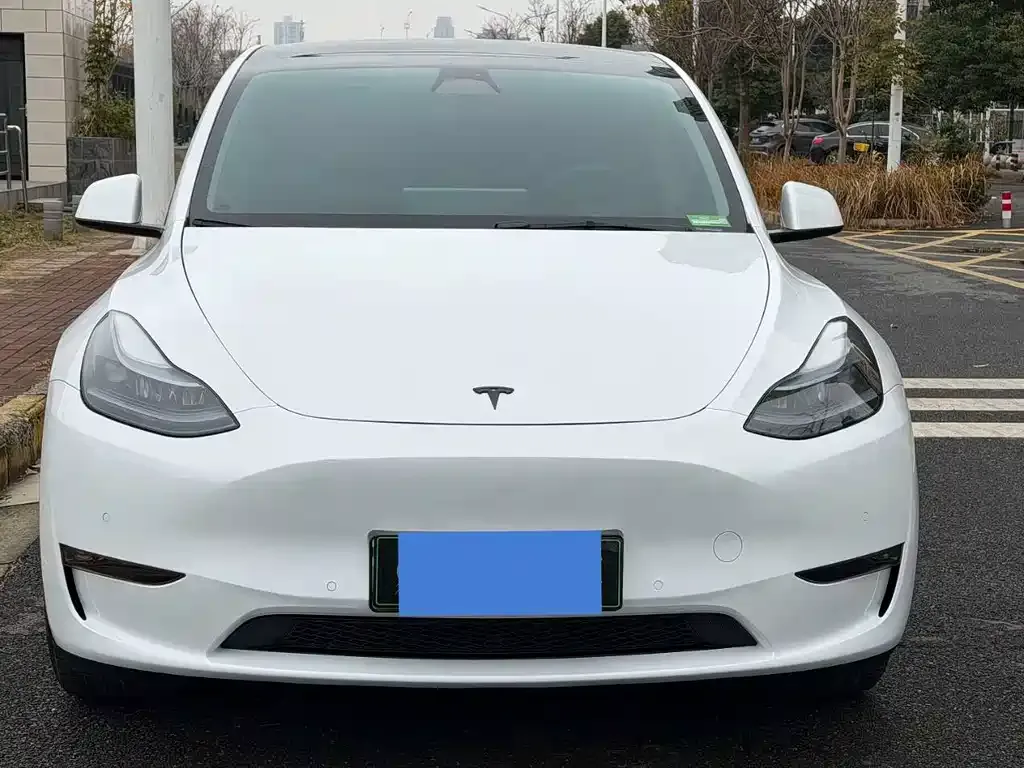 Tesla Model Y — фото 4