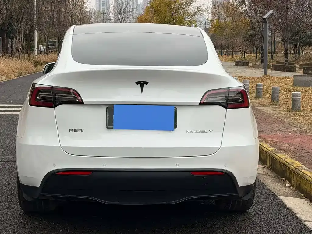 Tesla Model Y — фото 3
