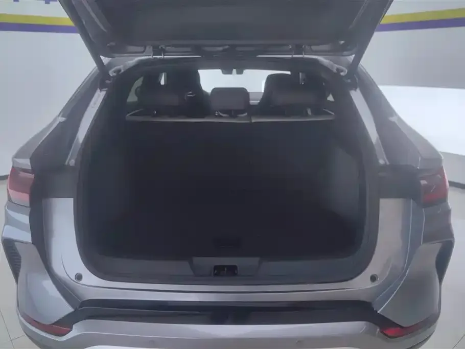 BYD PLUS New Energy 2025 из CN, фото 4