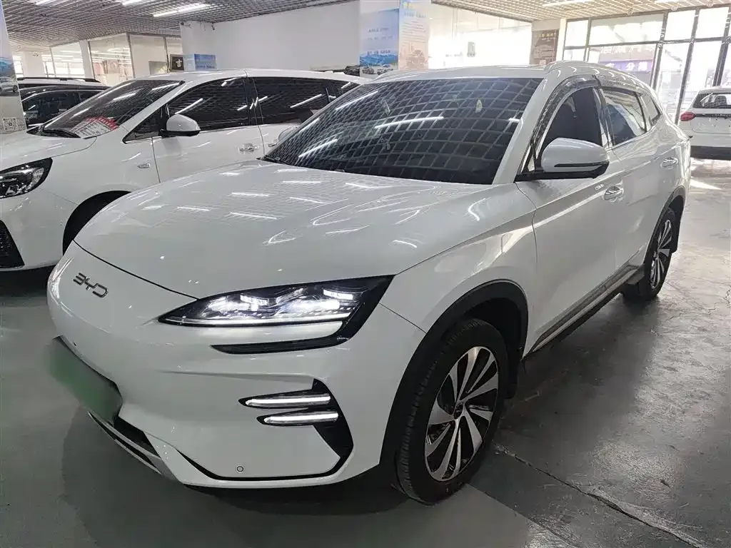 BYD PLUS New Energy — фото 1