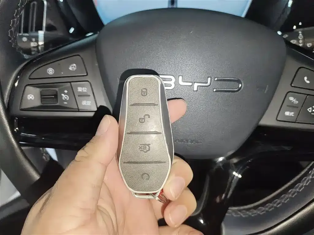 BYD PLUS New Energy — фото 4