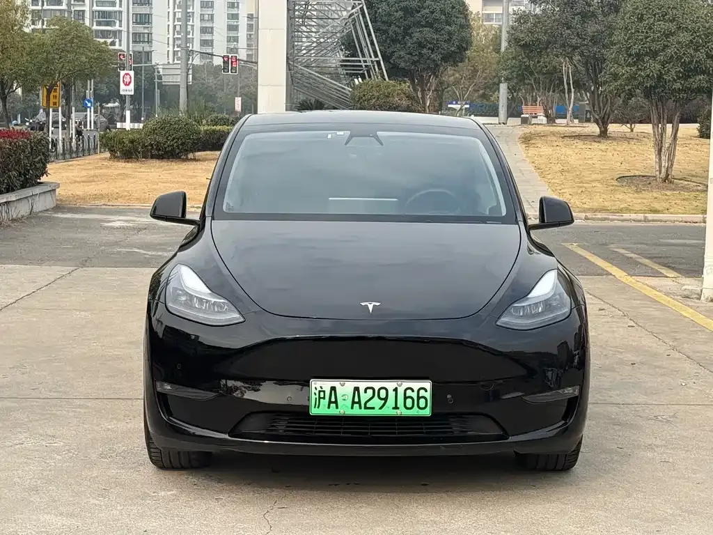 Tesla Model Y — фото 10