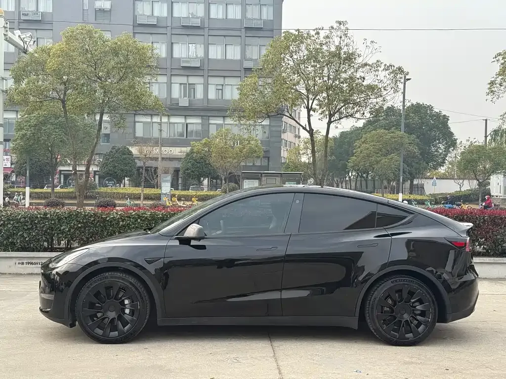 Tesla Model Y — фото 8