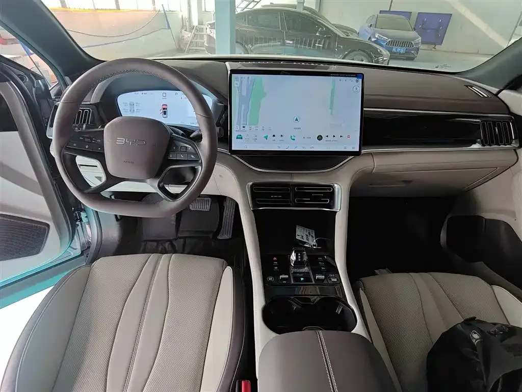 BYD PLUS New Energy 2025 из CN, фото 7