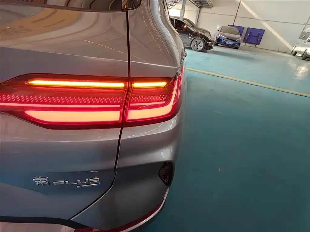 BYD PLUS New Energy 2025 из CN, фото 2