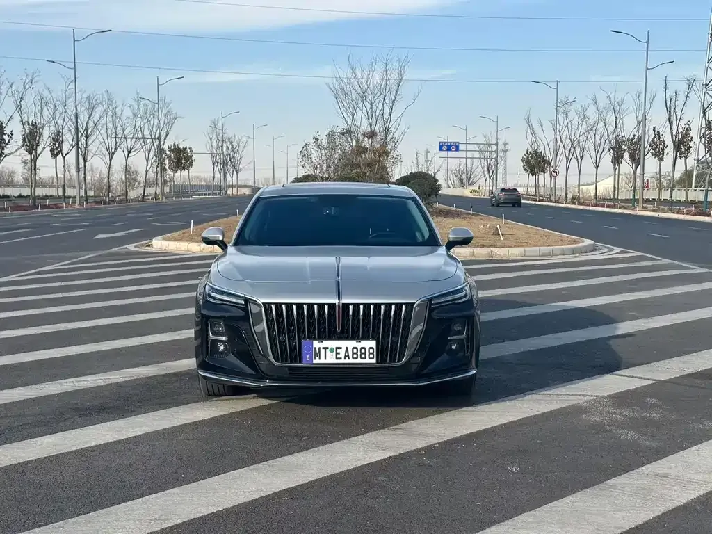 Hongqi H5 2023 из CN, фото 2