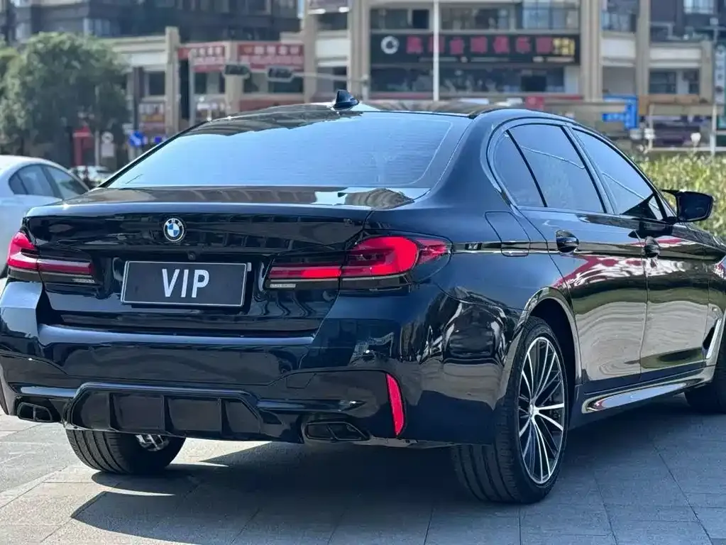 BMW 5 Series 2023 из CN, фото 4