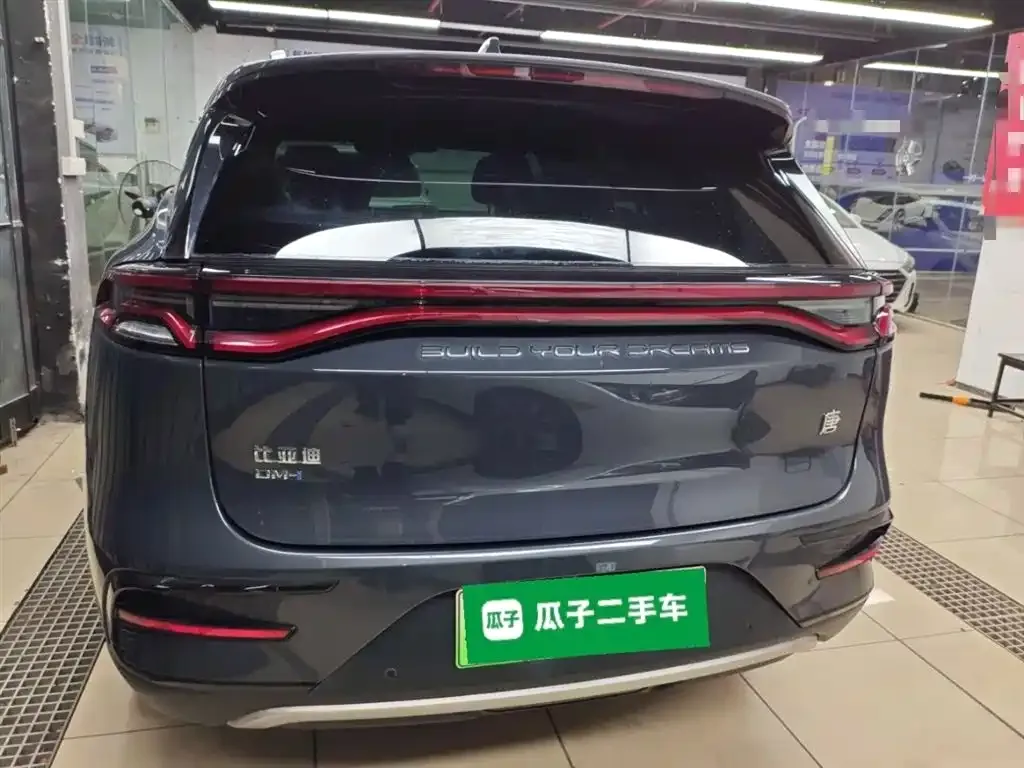 BYD Tang New Energy 2022 из CN, фото 6