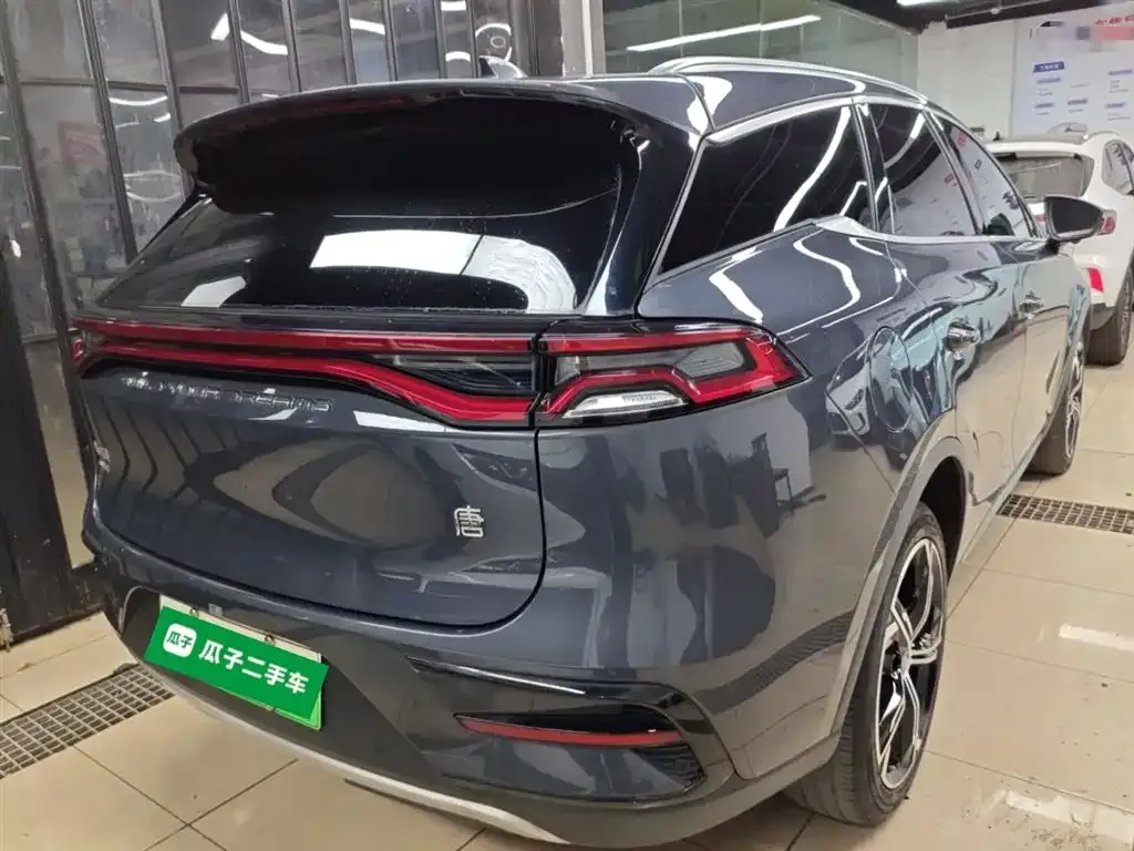 BYD Tang New Energy 2022 из CN, фото 7