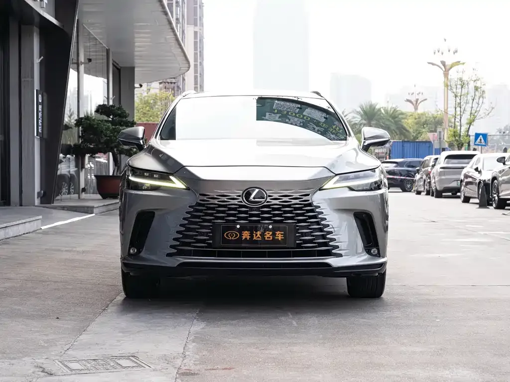 Lexus RX New Energy — фото 9
