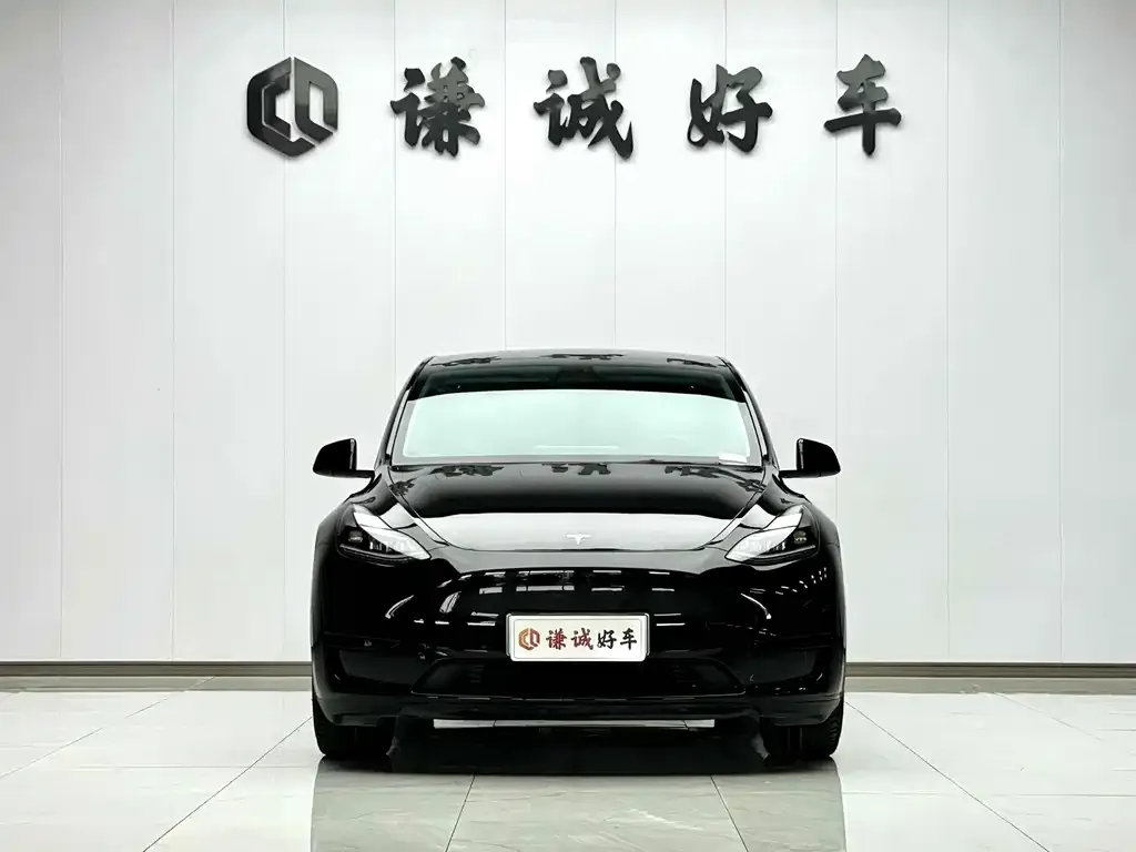 Tesla Model Y — фото 2