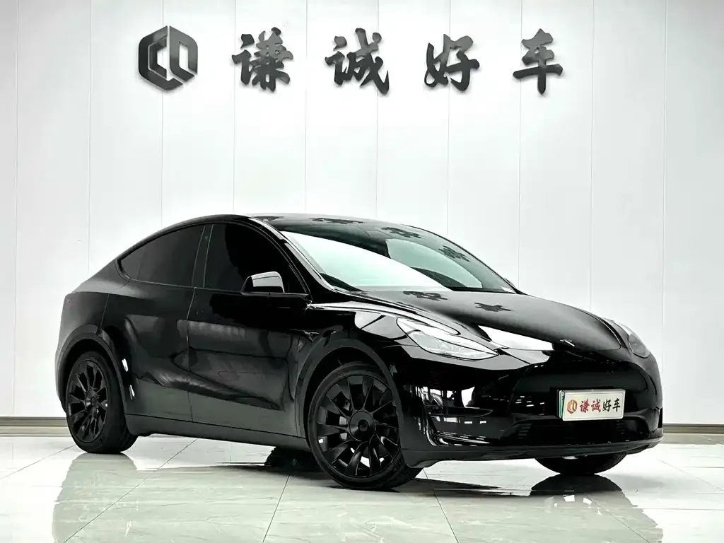 Tesla Model Y — фото 3