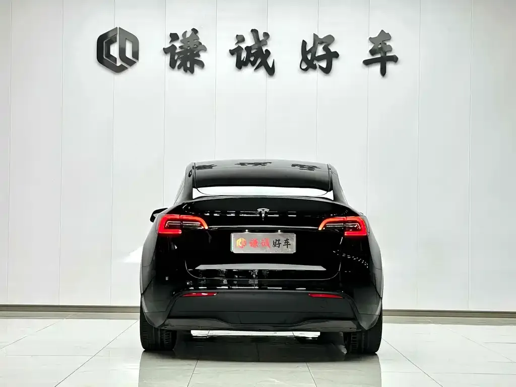 Tesla Model Y — фото 6