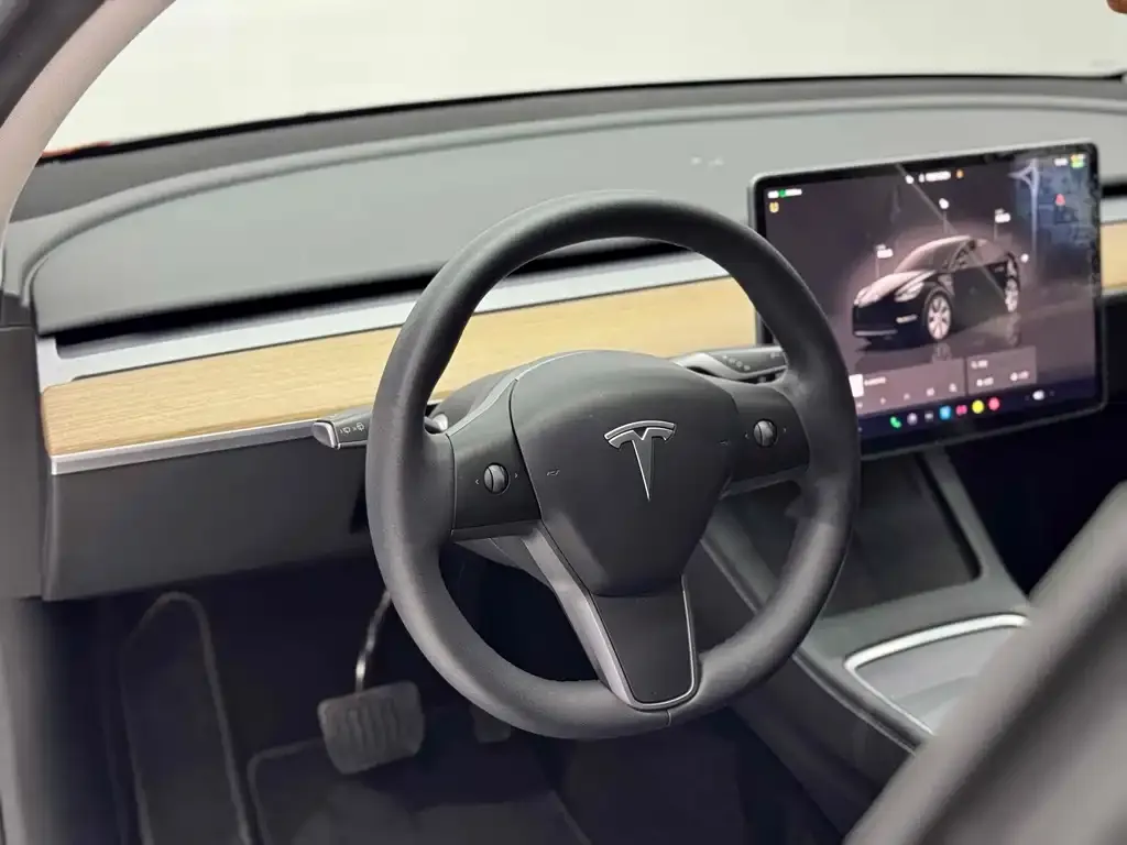 Tesla Model Y — фото 8