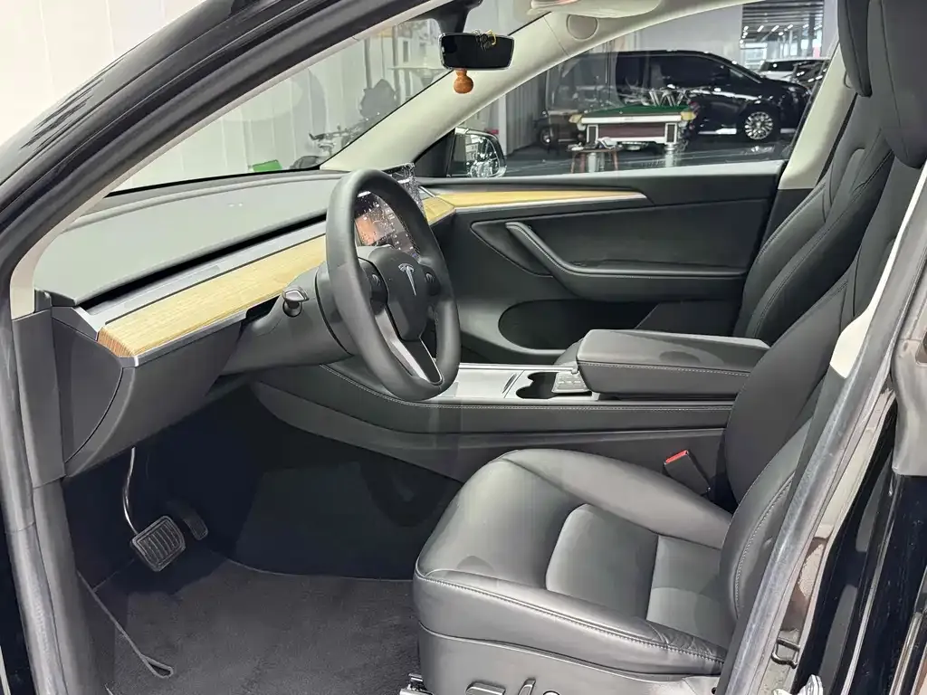 Tesla Model Y — фото 9