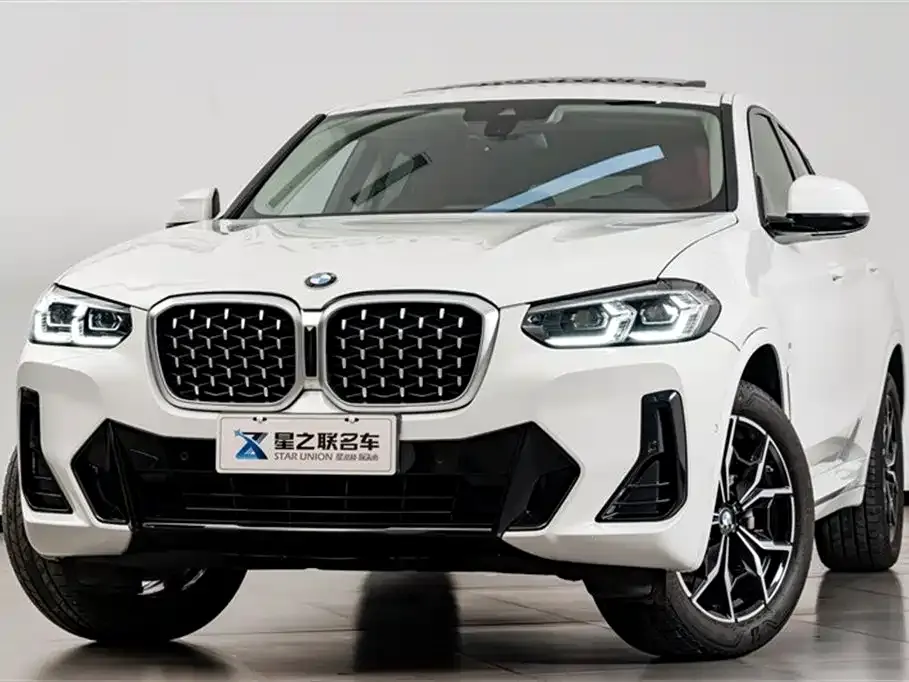 BMW X4 2025 из CN, фото 7