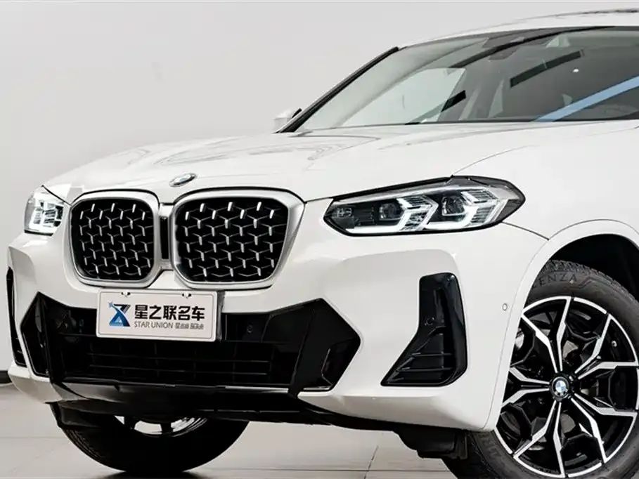 BMW X4 2025 из CN, фото 4