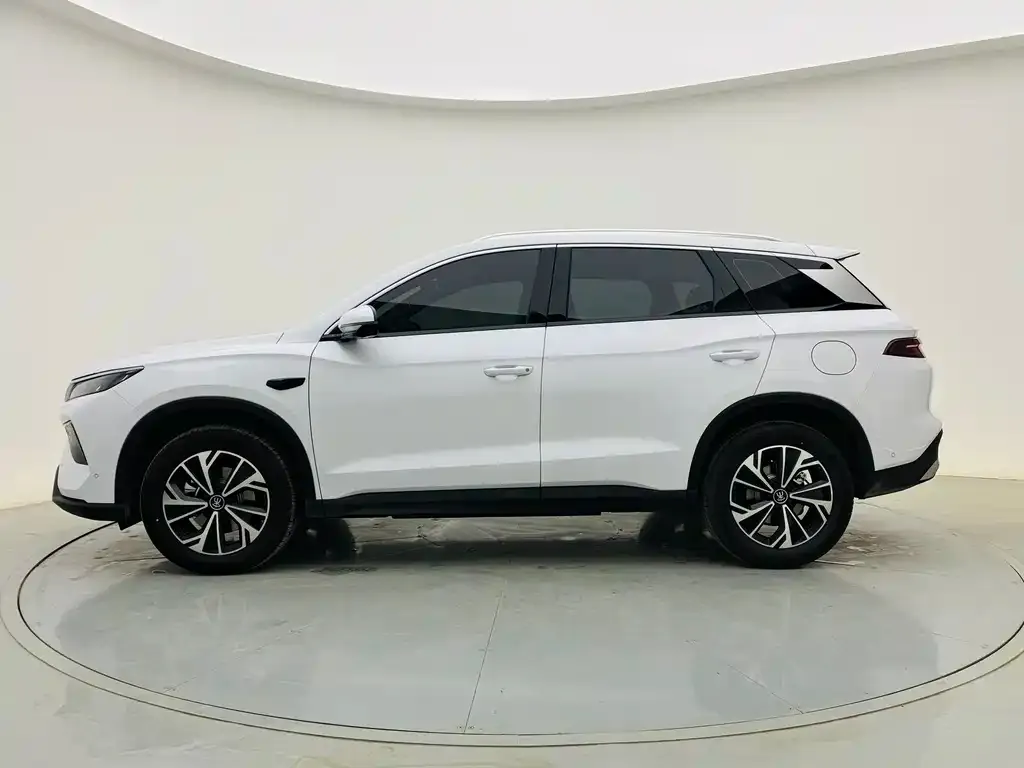 BYD Pro New Energy — фото 5