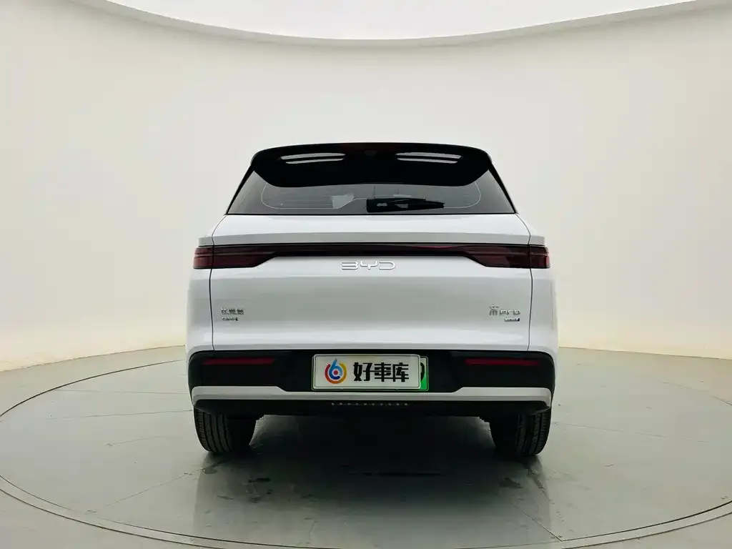 BYD Pro New Energy — фото 8