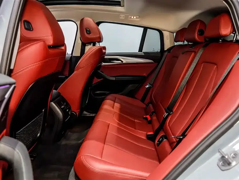BMW X4 2024 из CN, фото 6