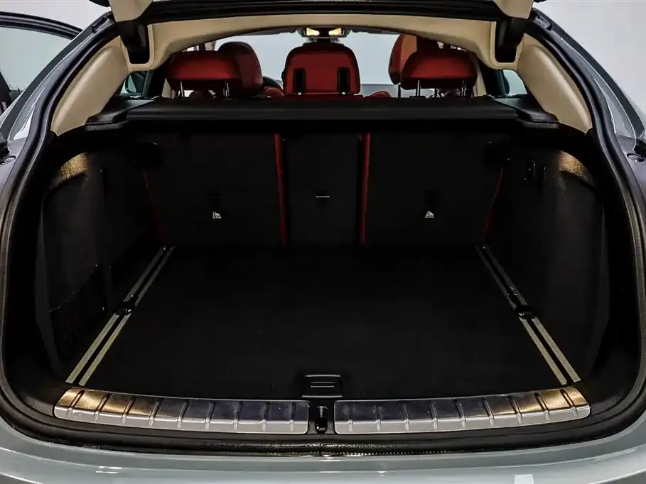 BMW X4 2024 из CN, фото 4