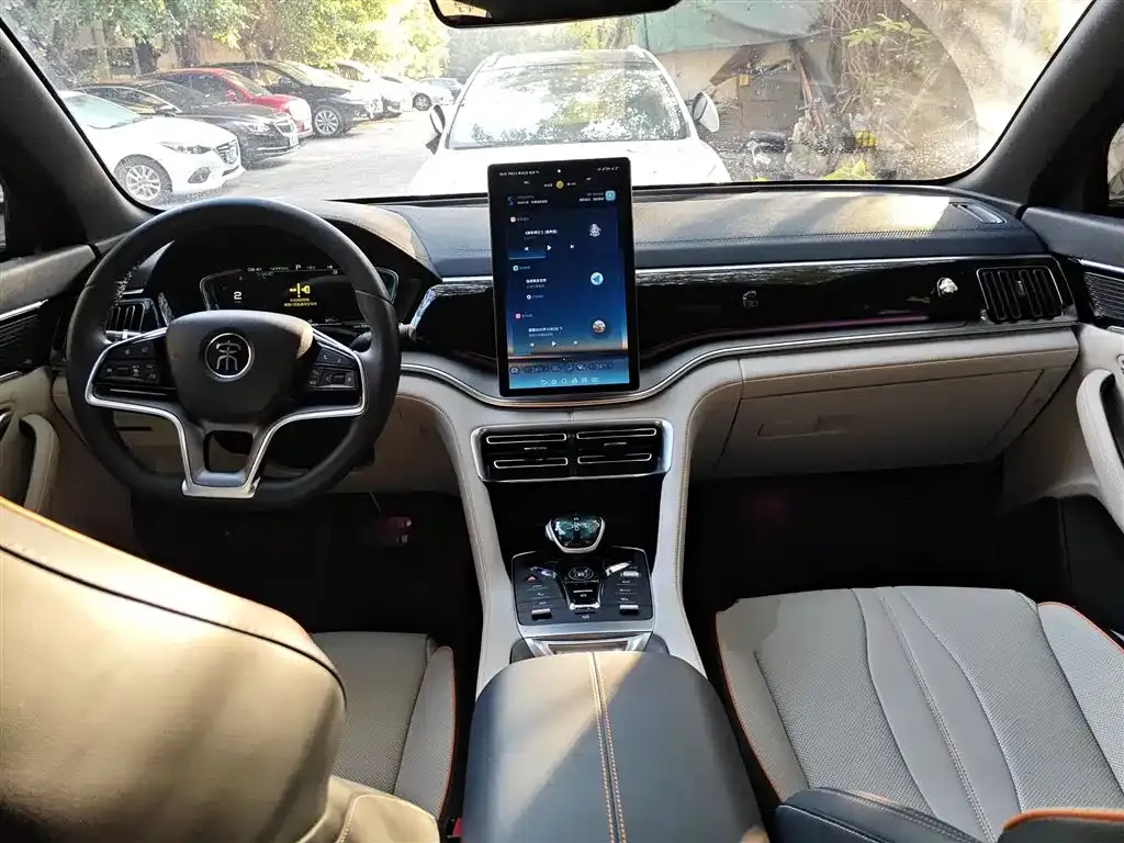 BYD PLUS New Energy 2023 из CN, фото 10
