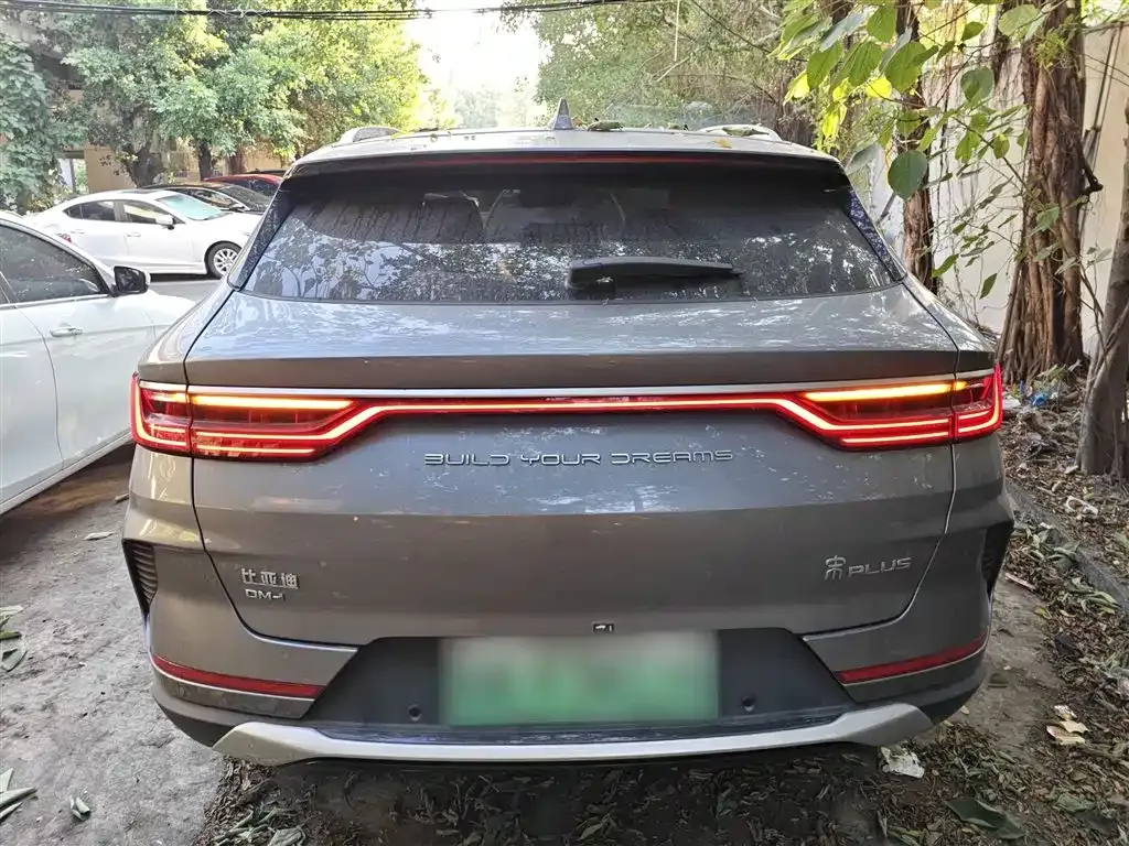 BYD PLUS New Energy 2023 из CN, фото 6