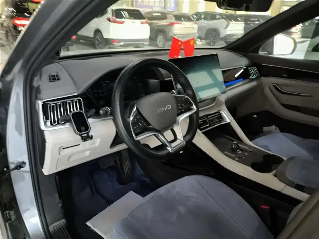 BYD PLUS New Energy — фото 10