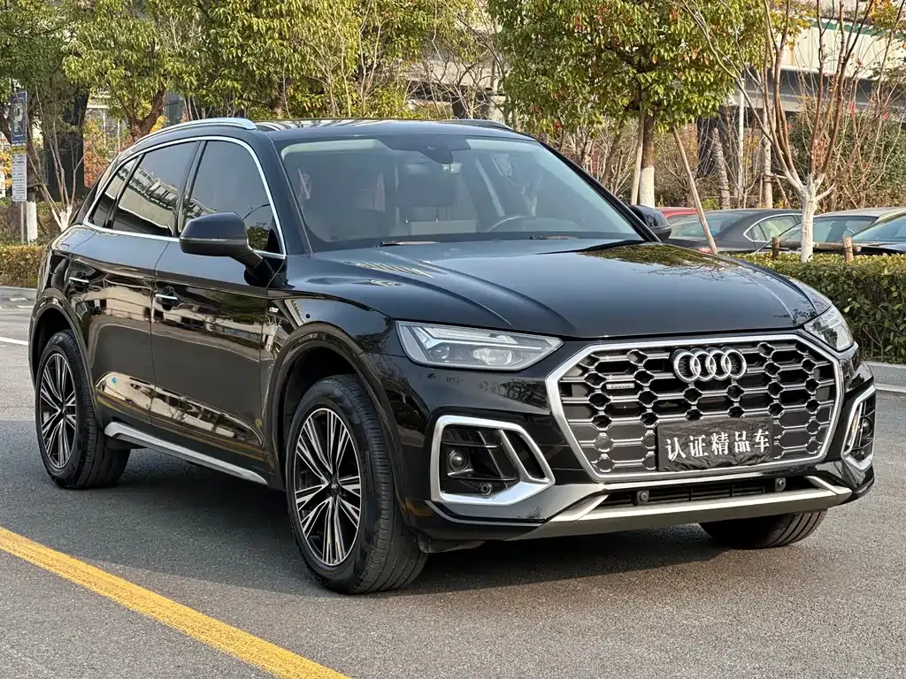 Audi Q5L — фото 9