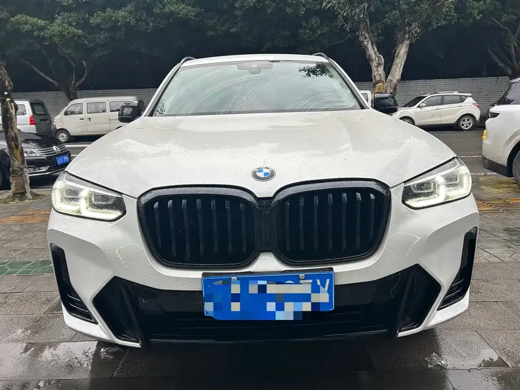 BMW X3 2022 из CN, фото 6