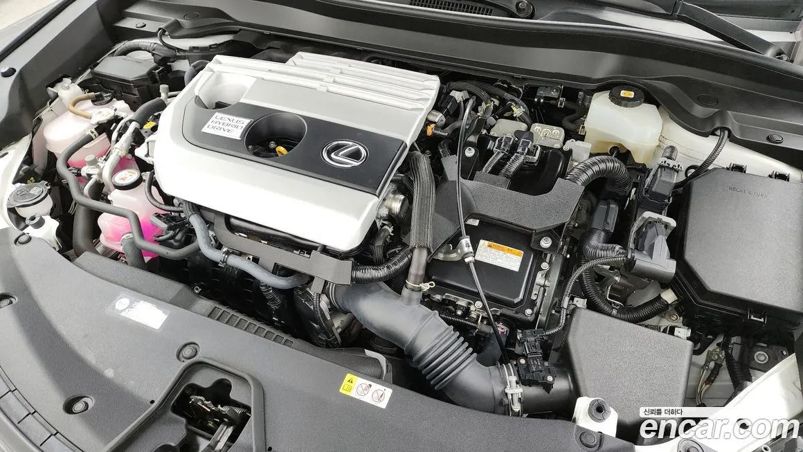 Lexus UX 2022 из KR, фото 6