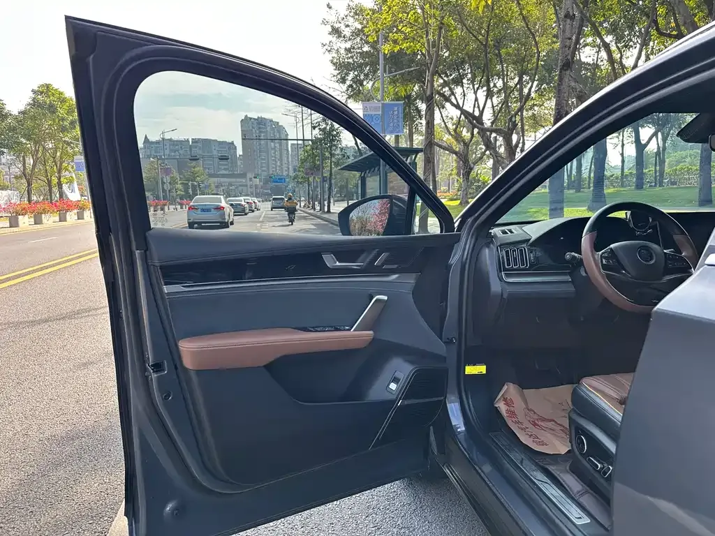 BYD Tang New Energy — фото 10