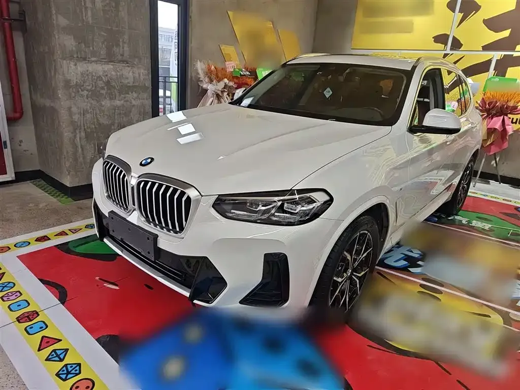 BMW X3 2023 из CN, фото 9
